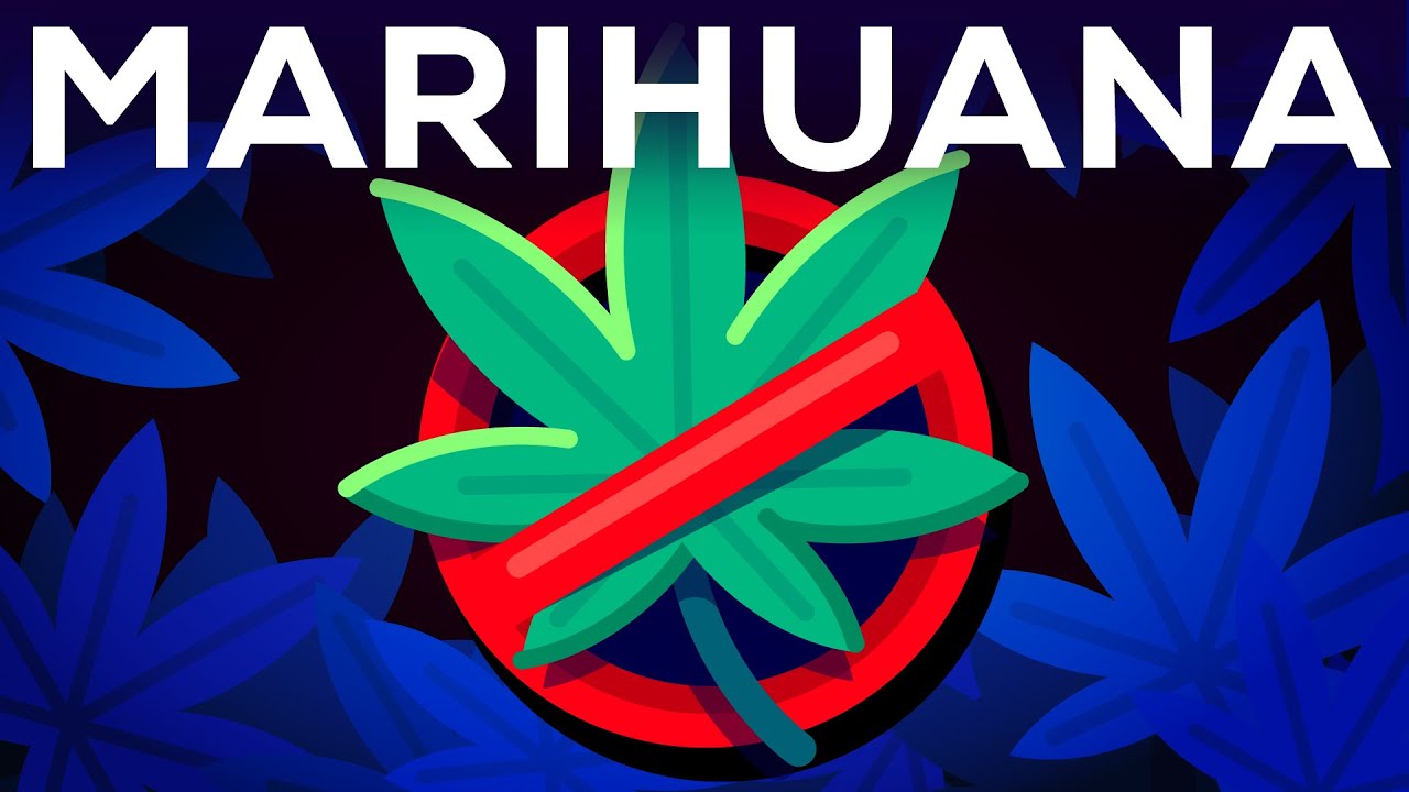 Legalización de la marihuana: argumentos a su favor - Mundo ejecutivo